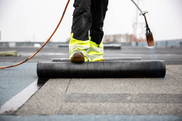 Best Roof Maintenance and Cleaning  in Berlin, OH